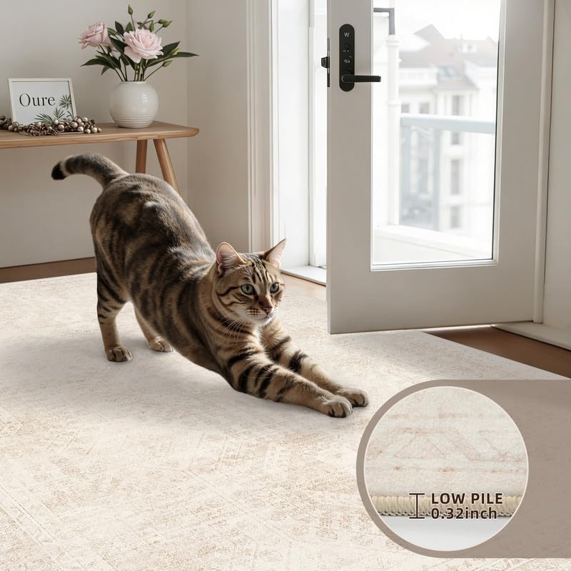Luxturiy 8x10 Area Rugs Living Room: Bedroom Neutral Washable Carpet