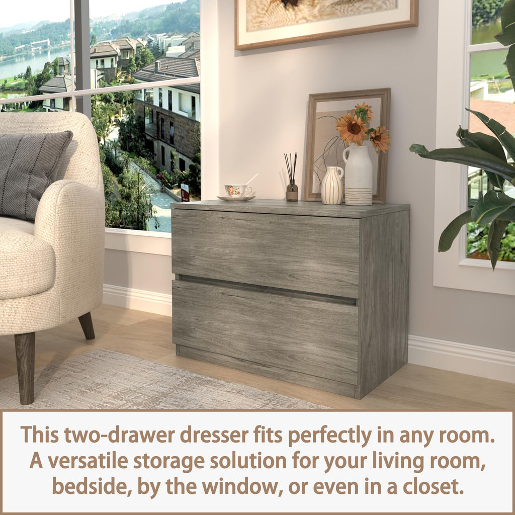 Wood Chest of Drawers with Storage for Bedroom and Closet