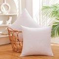 LBOEVDE Gold Feather Pillow Inserts