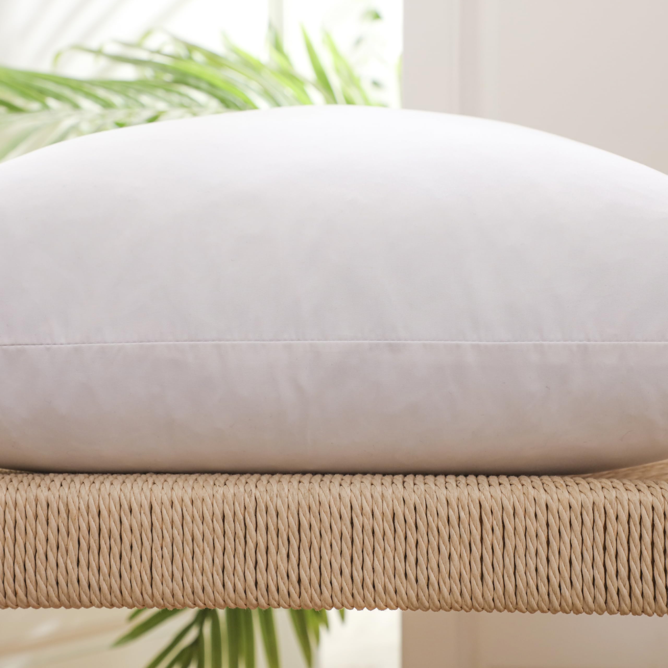 LBOEVDE Gold Feather Pillow Inserts