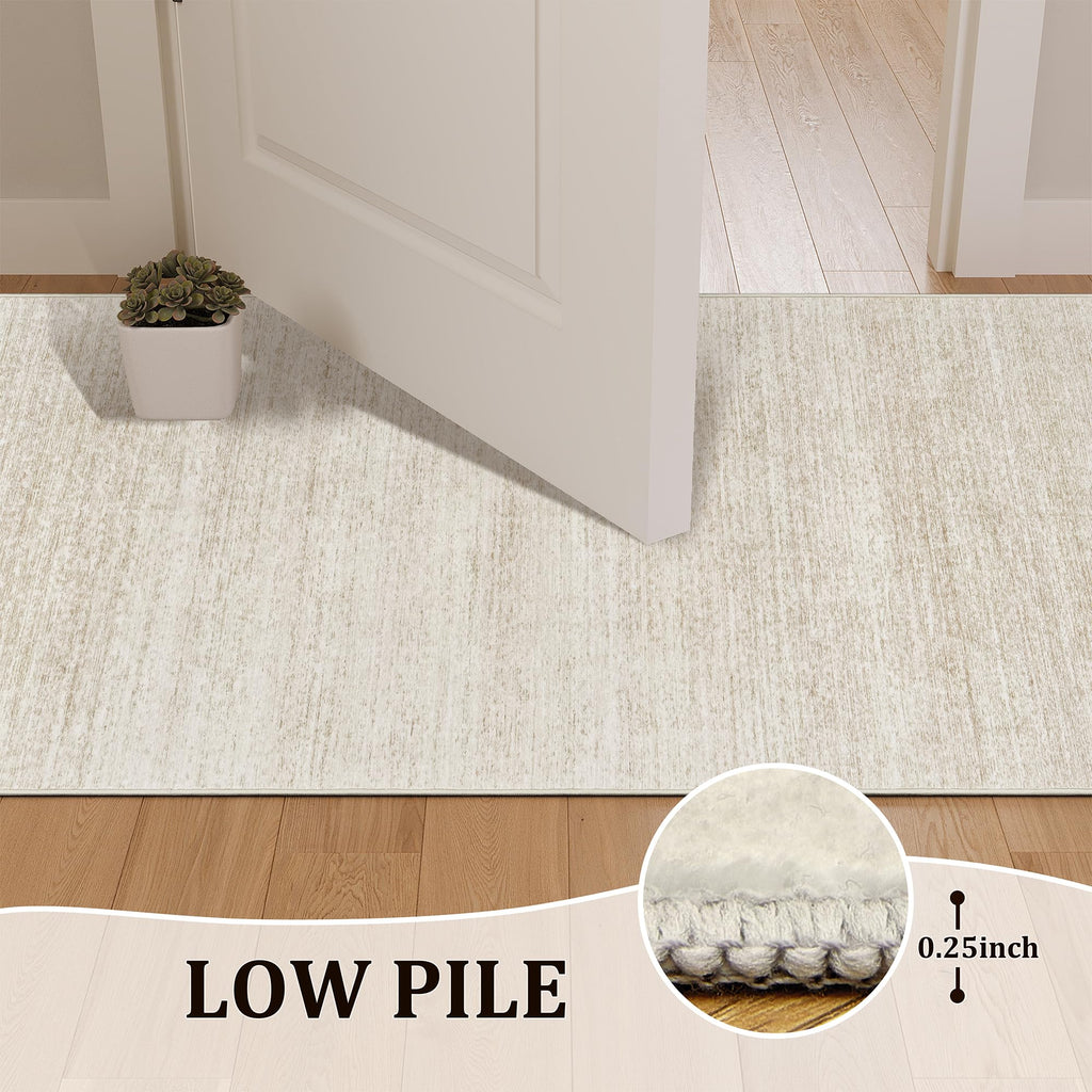 Washable Area Rug with Stain Resistance and Non Slip Backing